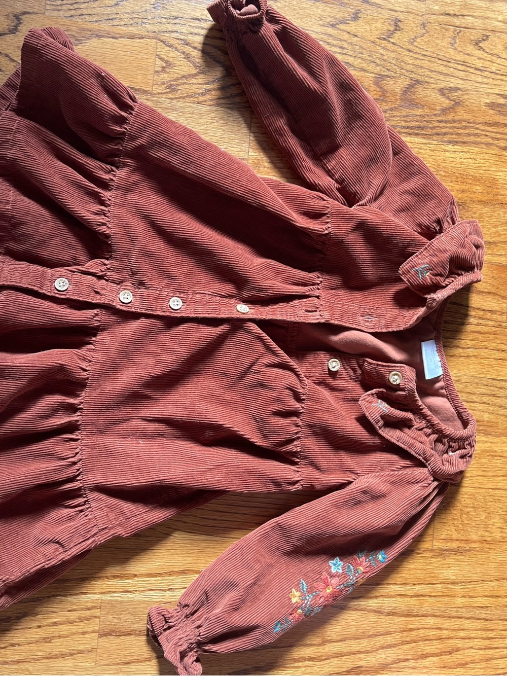 Toddler Rust Corduroy Button-Front Dress with Floral Sleeve Embroidery